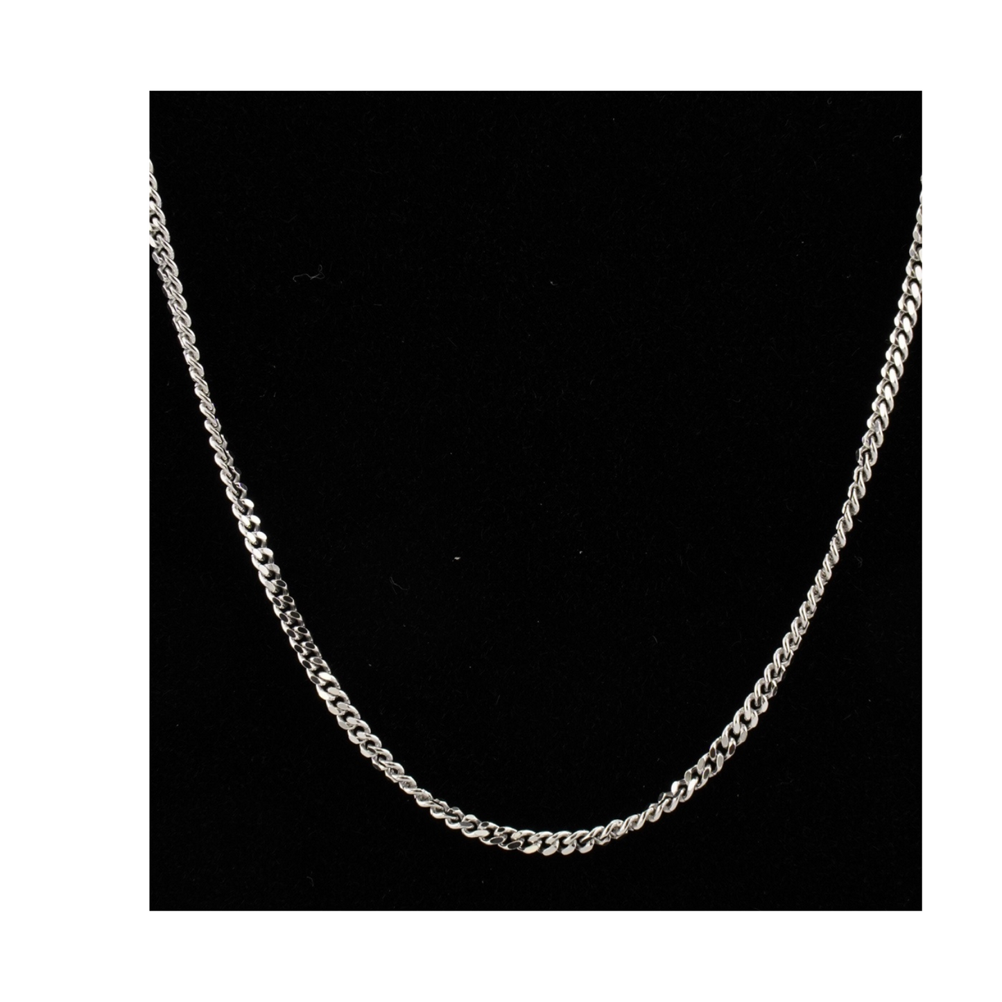 Delicate Curb Chain Necklace